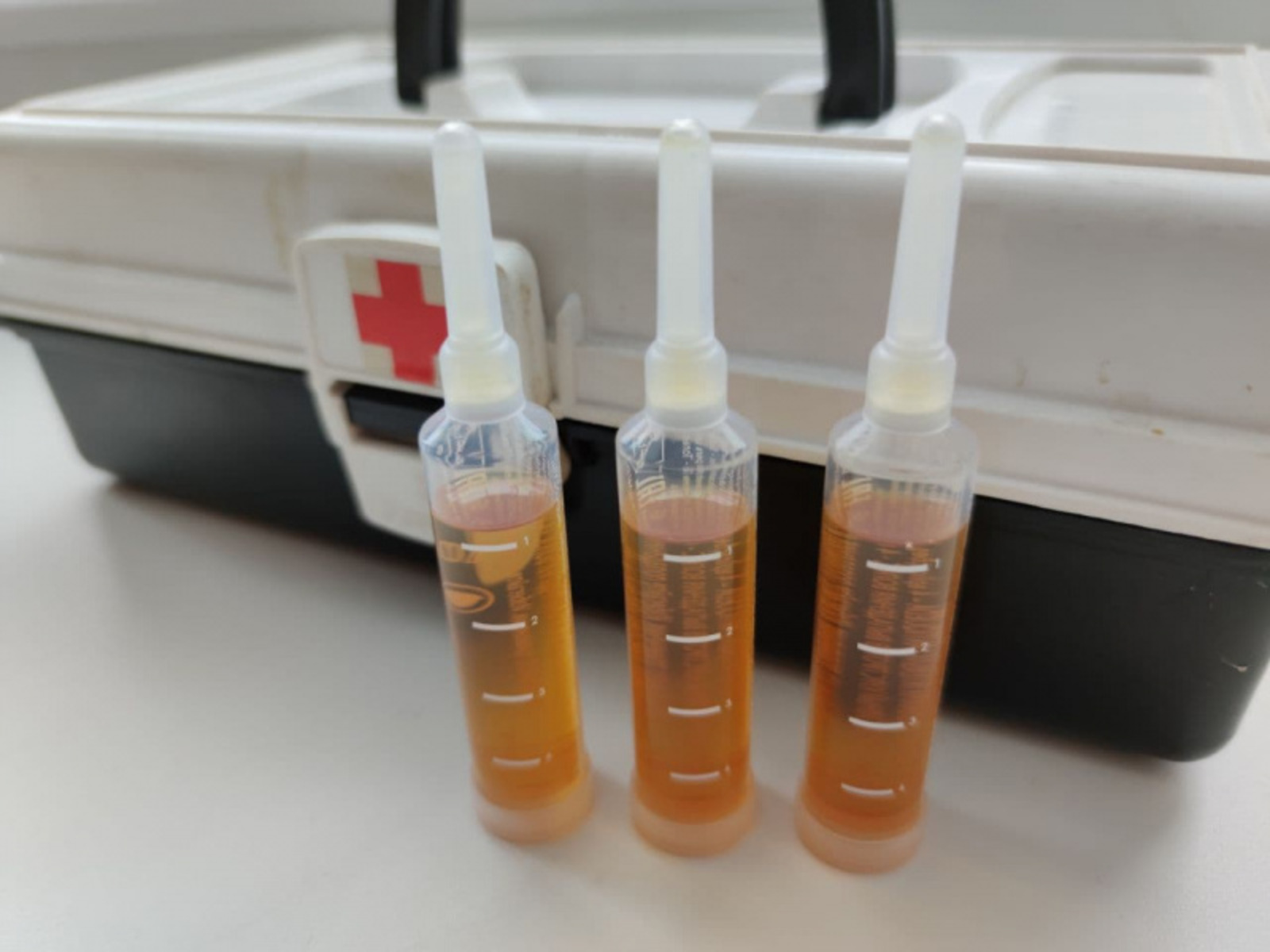 Фото автора.