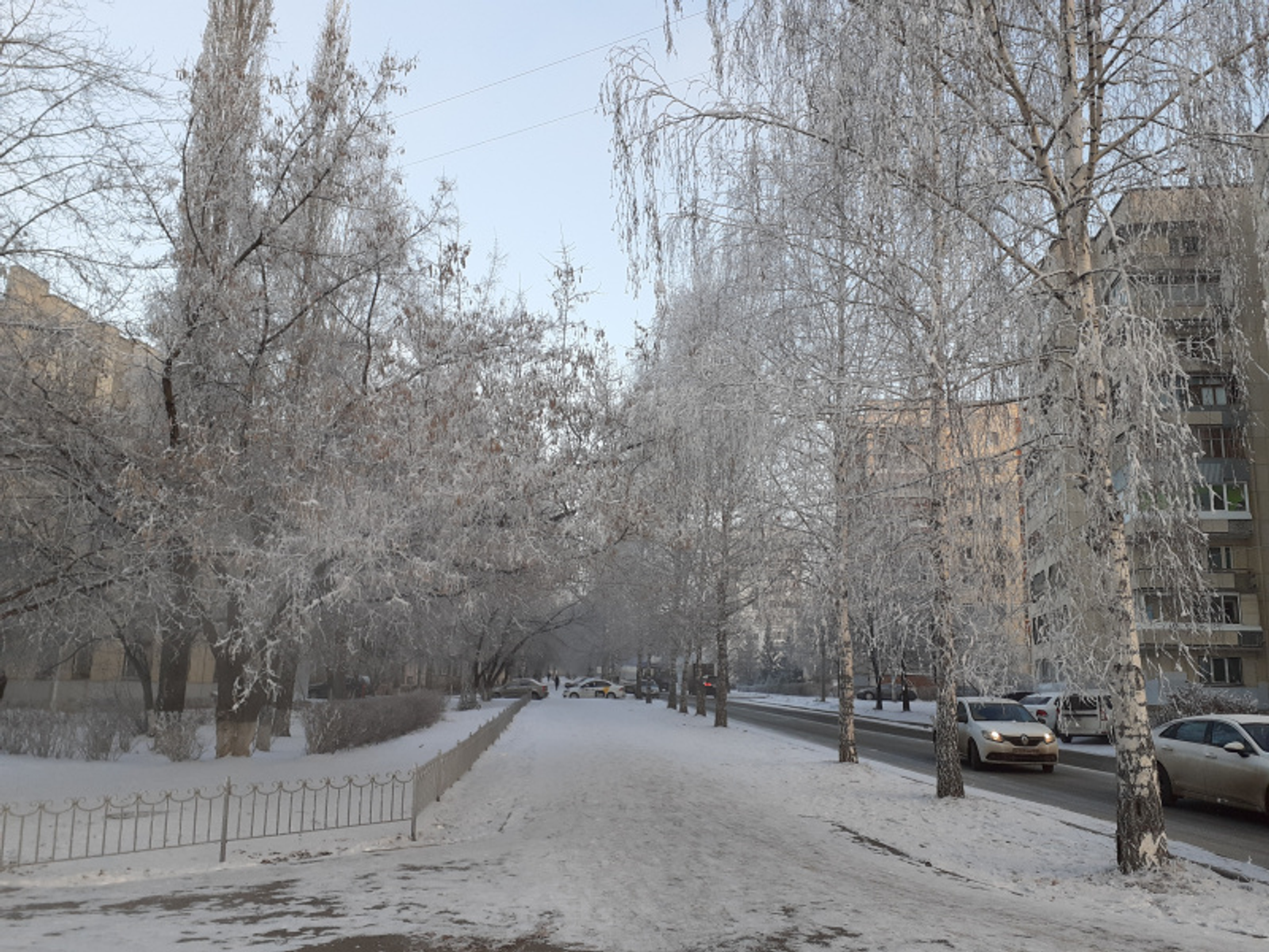 Фото автора.