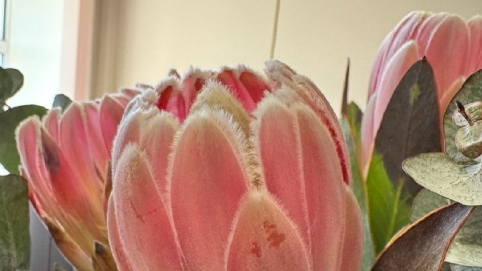 Елены Колоколовой.  «Общественная электронная газета».