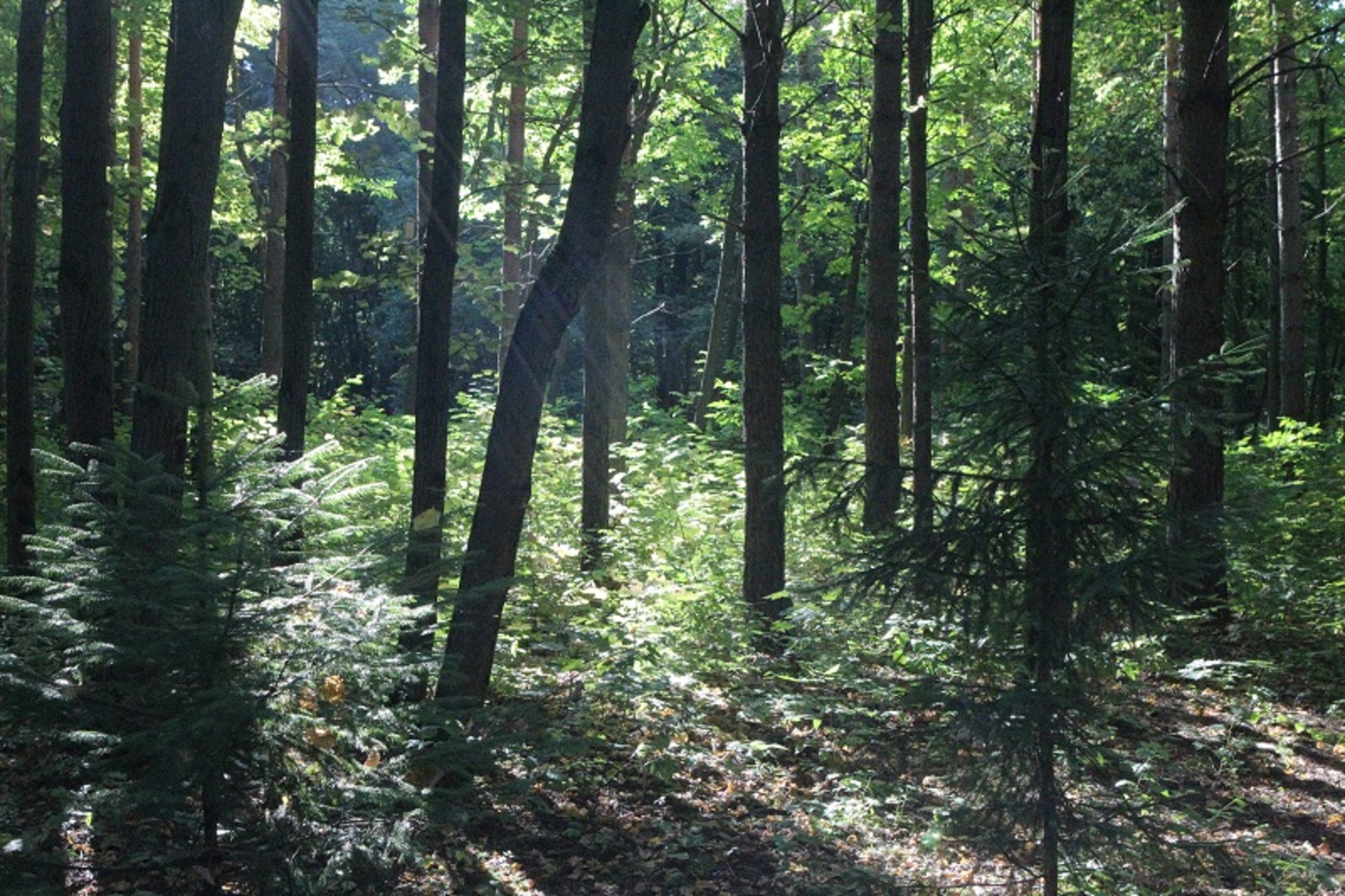 Фото Олега Яровикова.