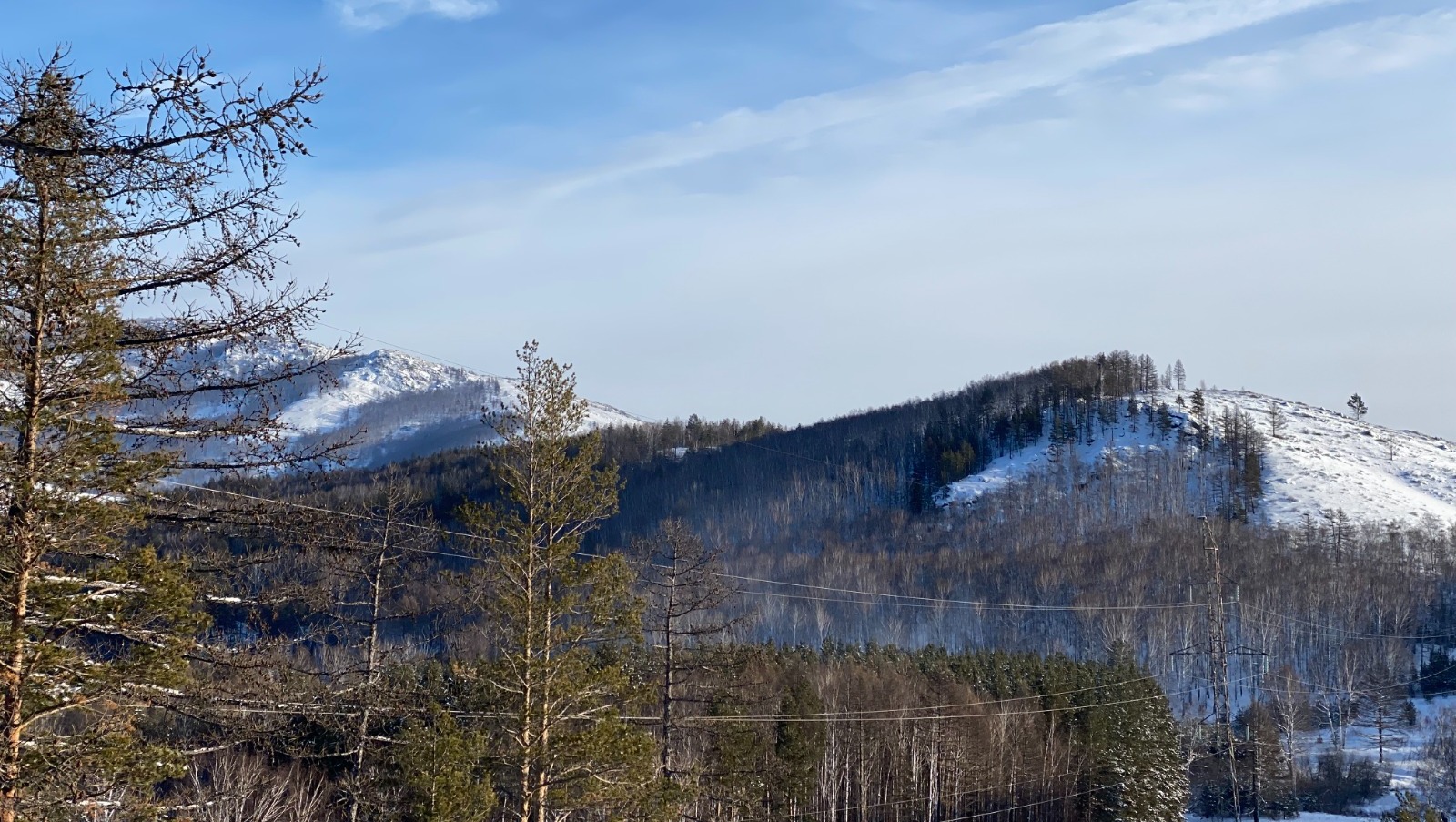 Елены Колоколовой.  «Общественная электронная газета».