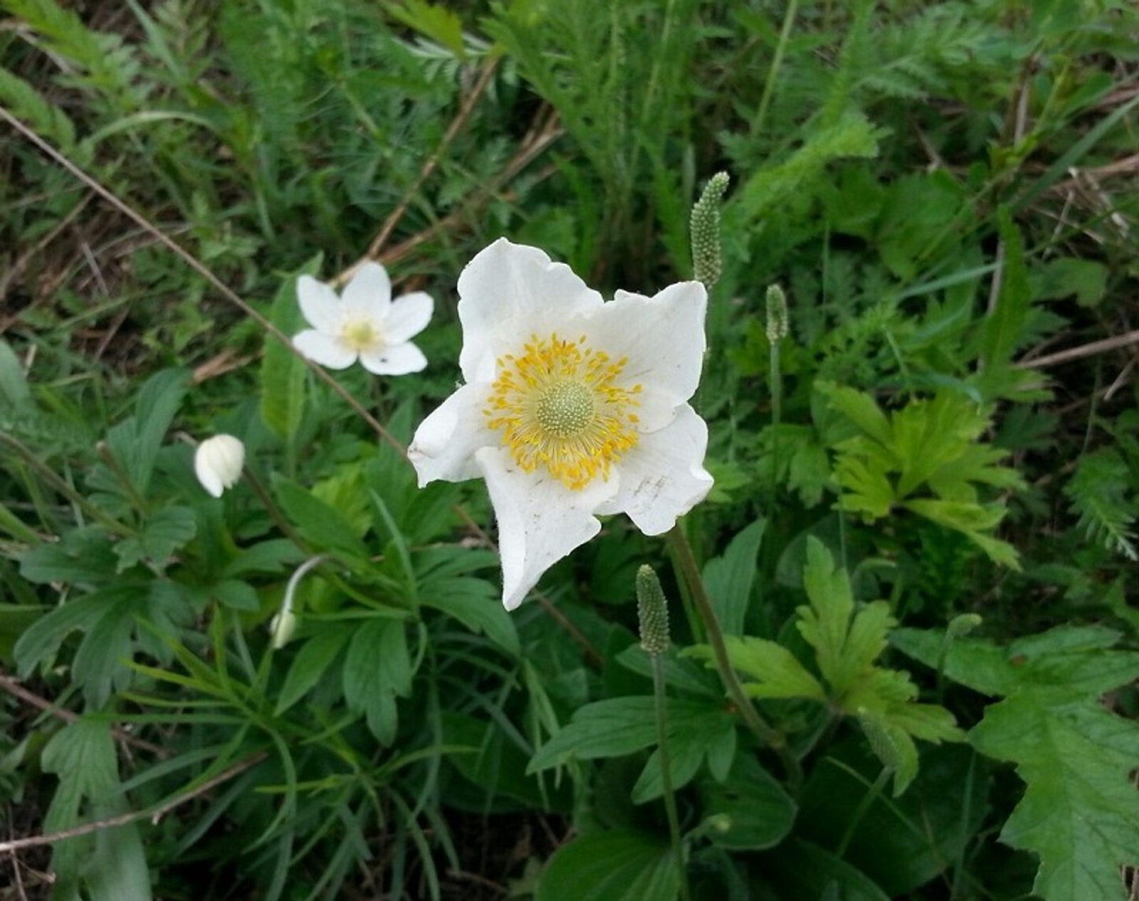 Фото автора.