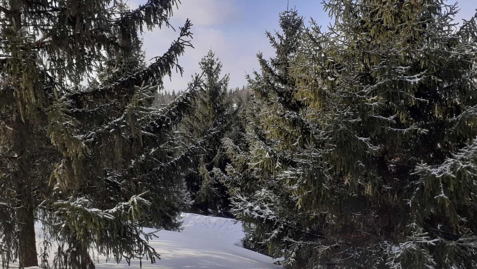 Владимира Шакиева. «Общественная электронная газета».