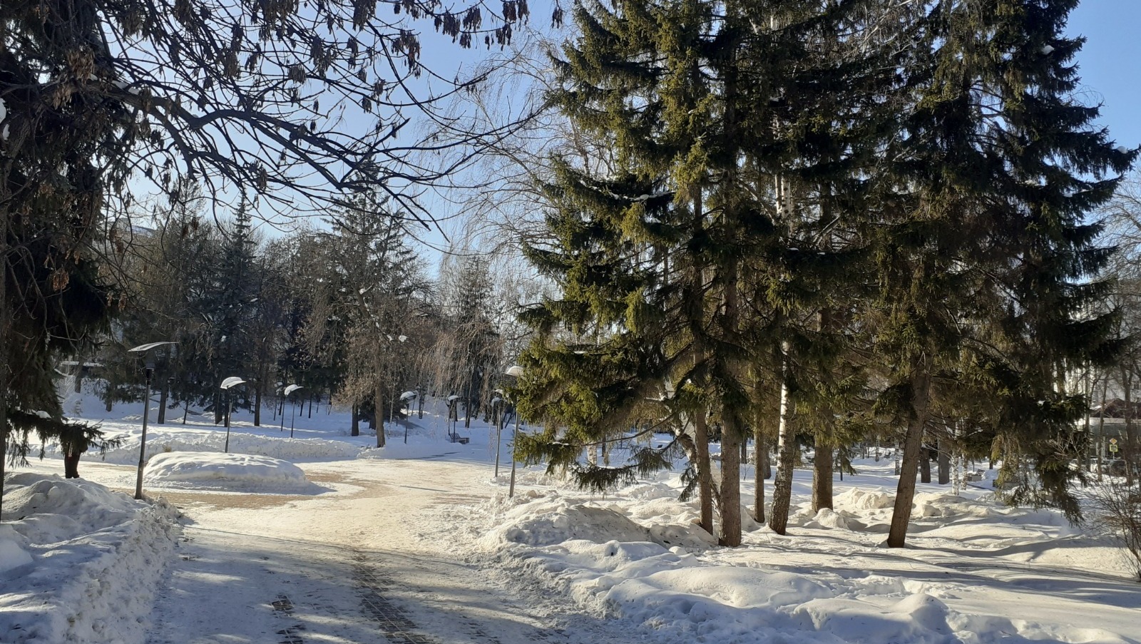 Владимира Шакиева. «Общественная электронная газета».
