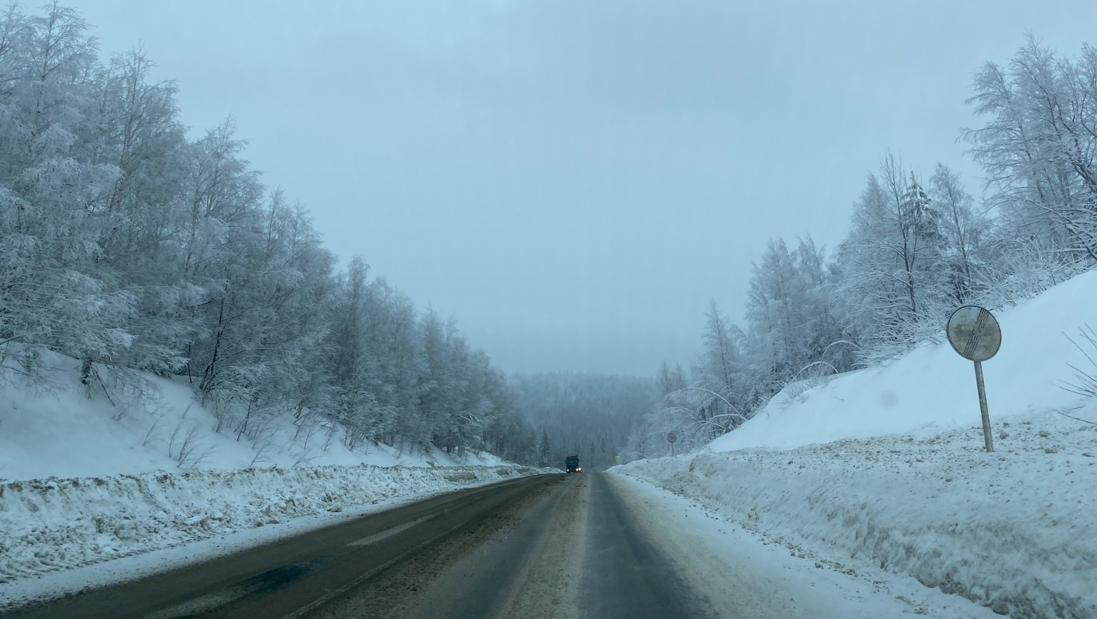 Елены Колоколовой.