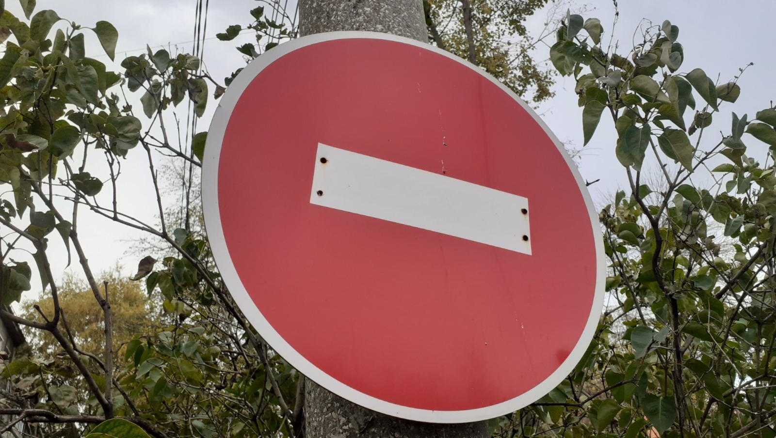 Владимира Шакиева.