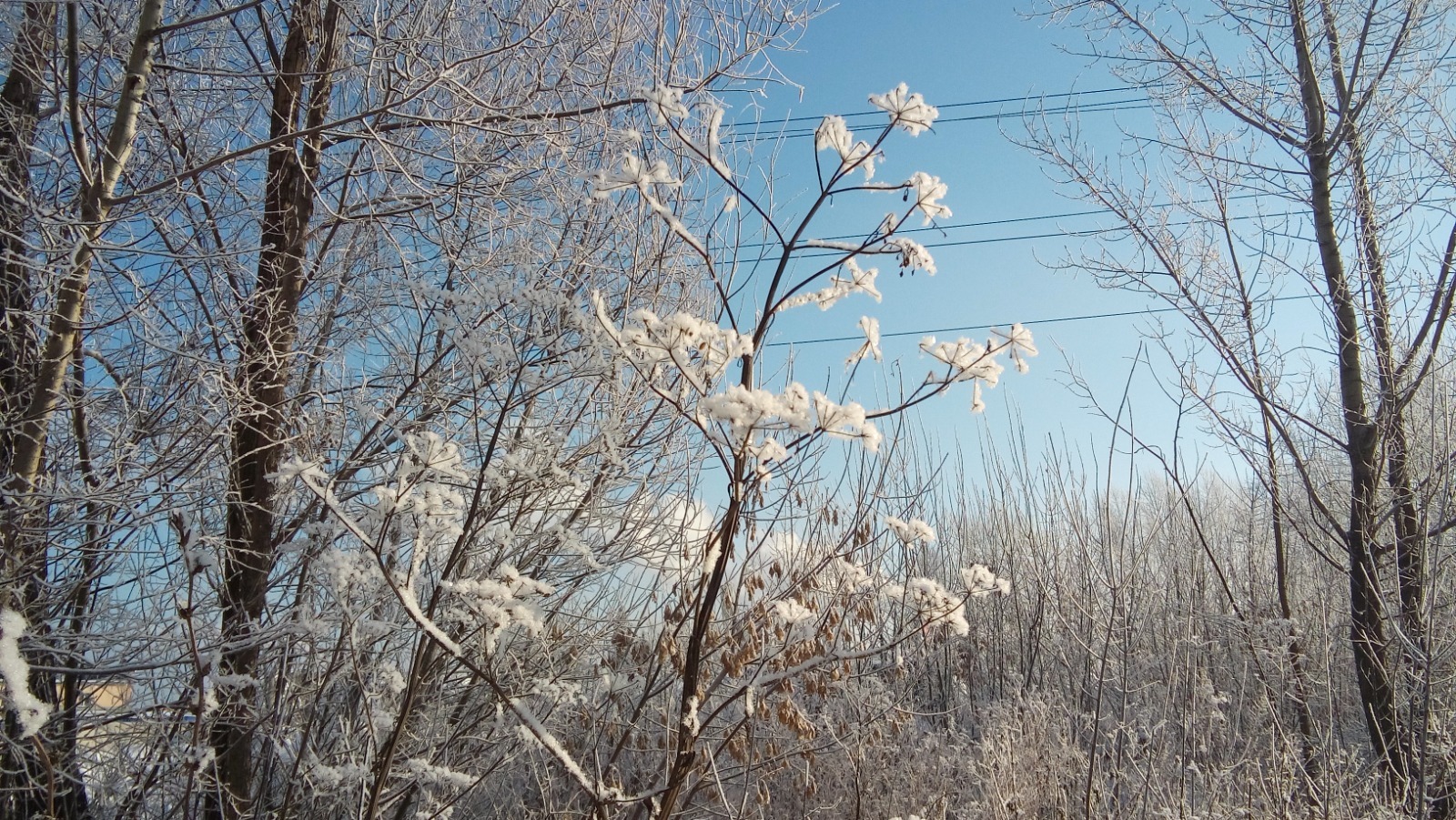 Евгении Сюткиной.