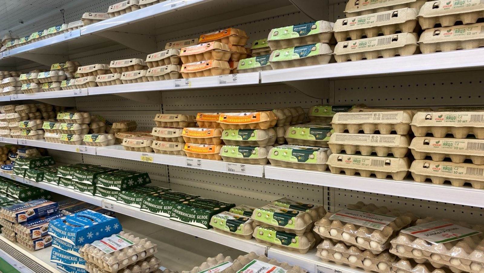 Елены Колоколовой.