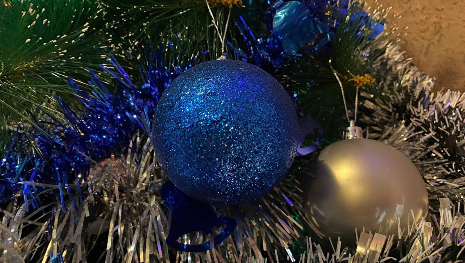 Елены Колоколовой.