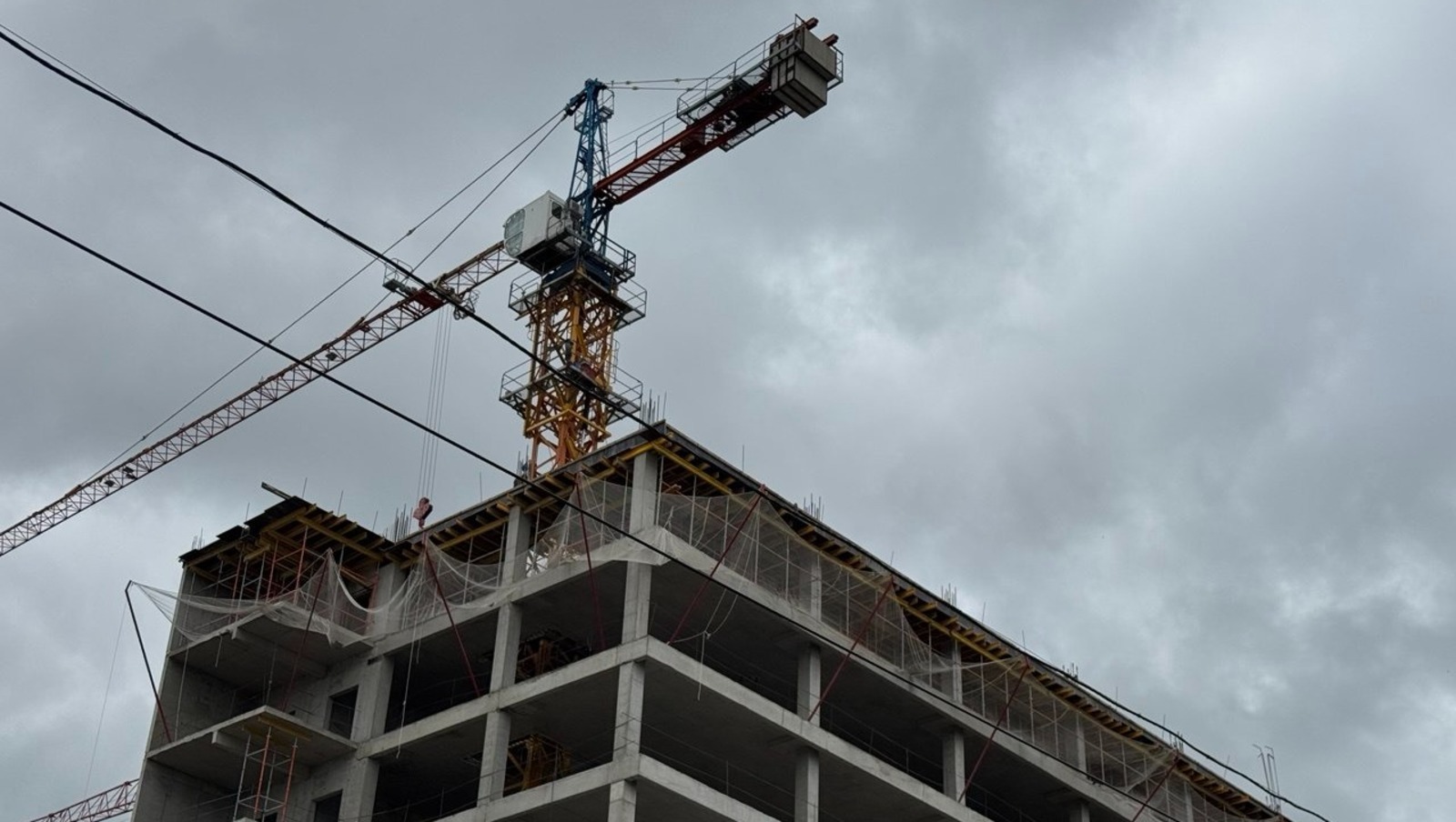 Елены Колоколовой. «Общественная электронная газета».