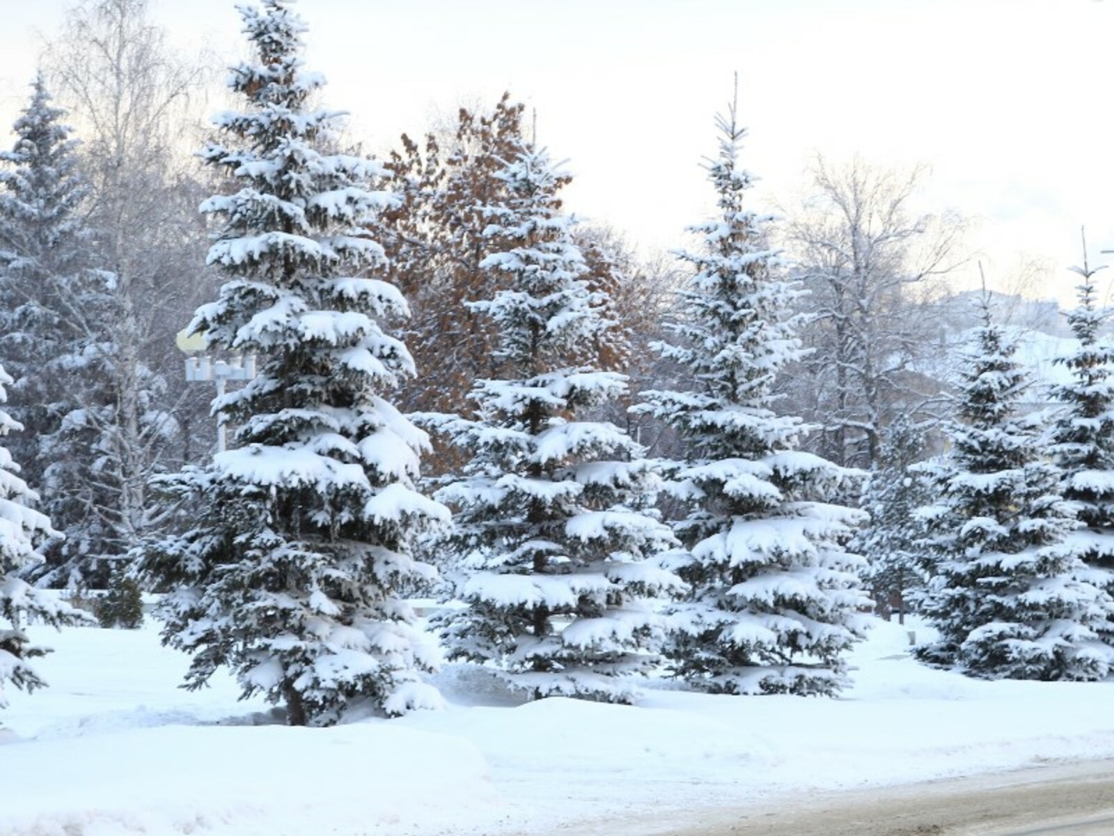 Фото Олега Яровикова.