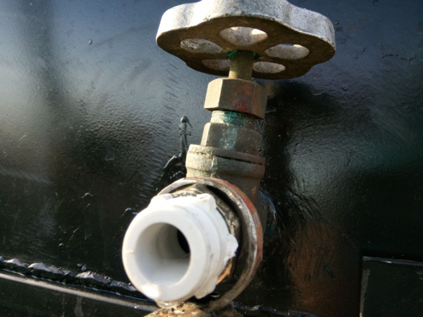 Фото Васили Саитовой.