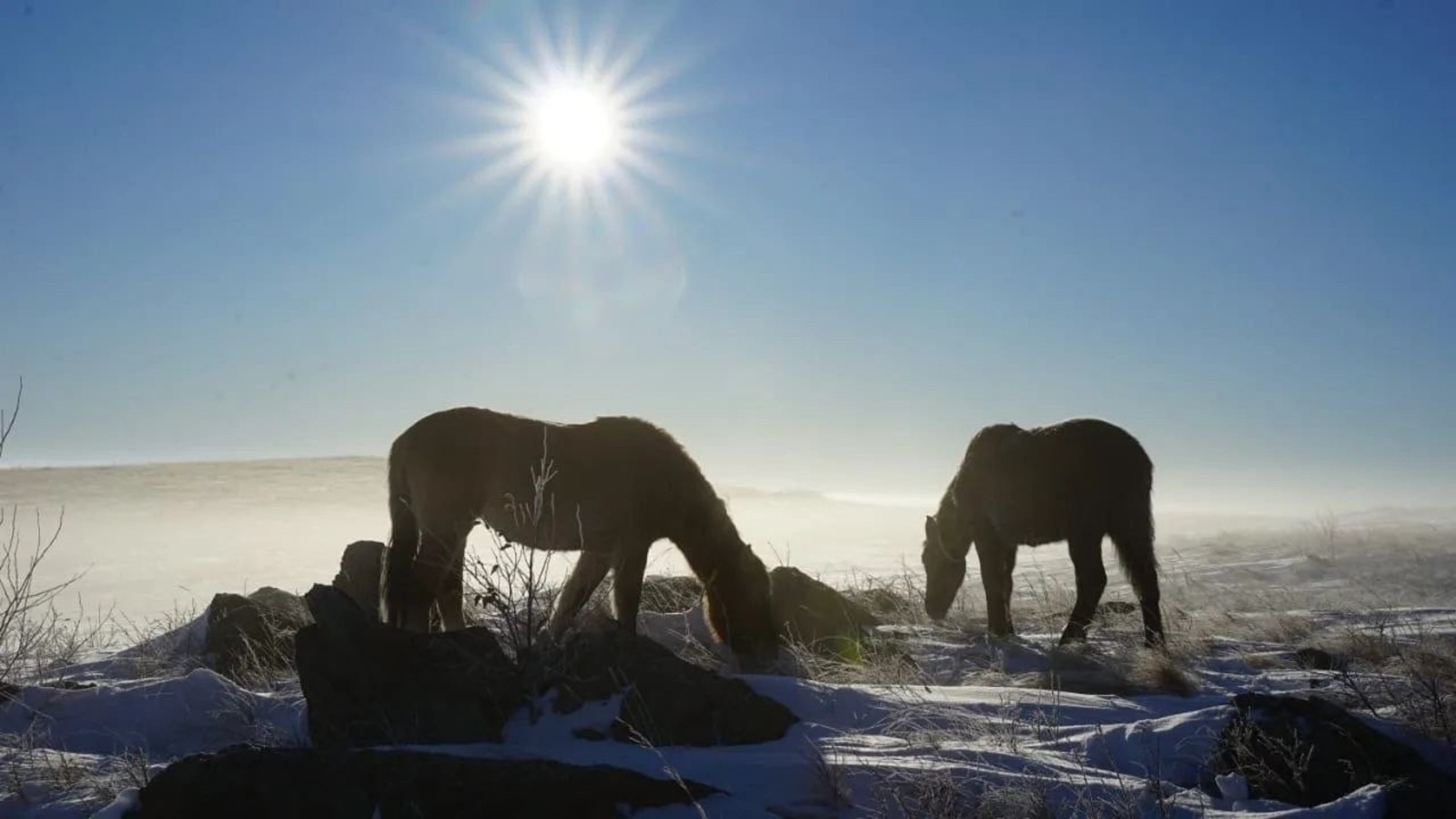 c личной страницы Радия Хабирова в соцсети. c личной страницы Радия Хабирова в соцсети.