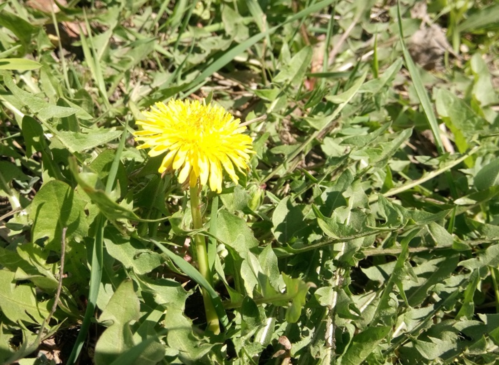 Фото Васили Саитовой.