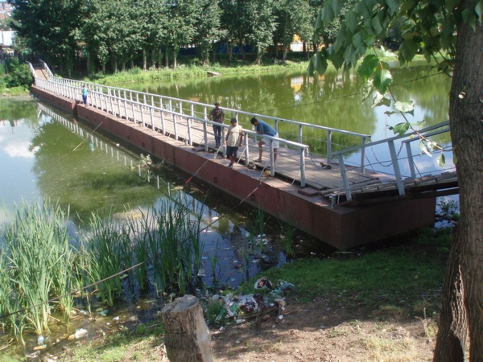 Фото автора.