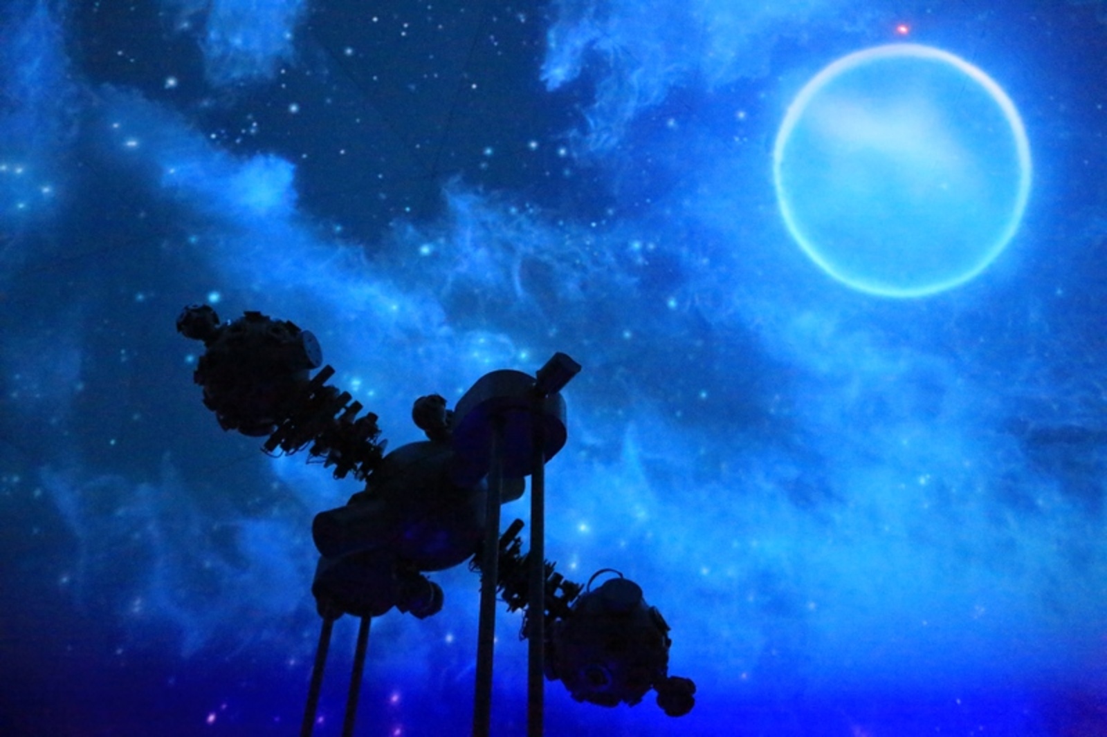 Фото Андрея Старостина.