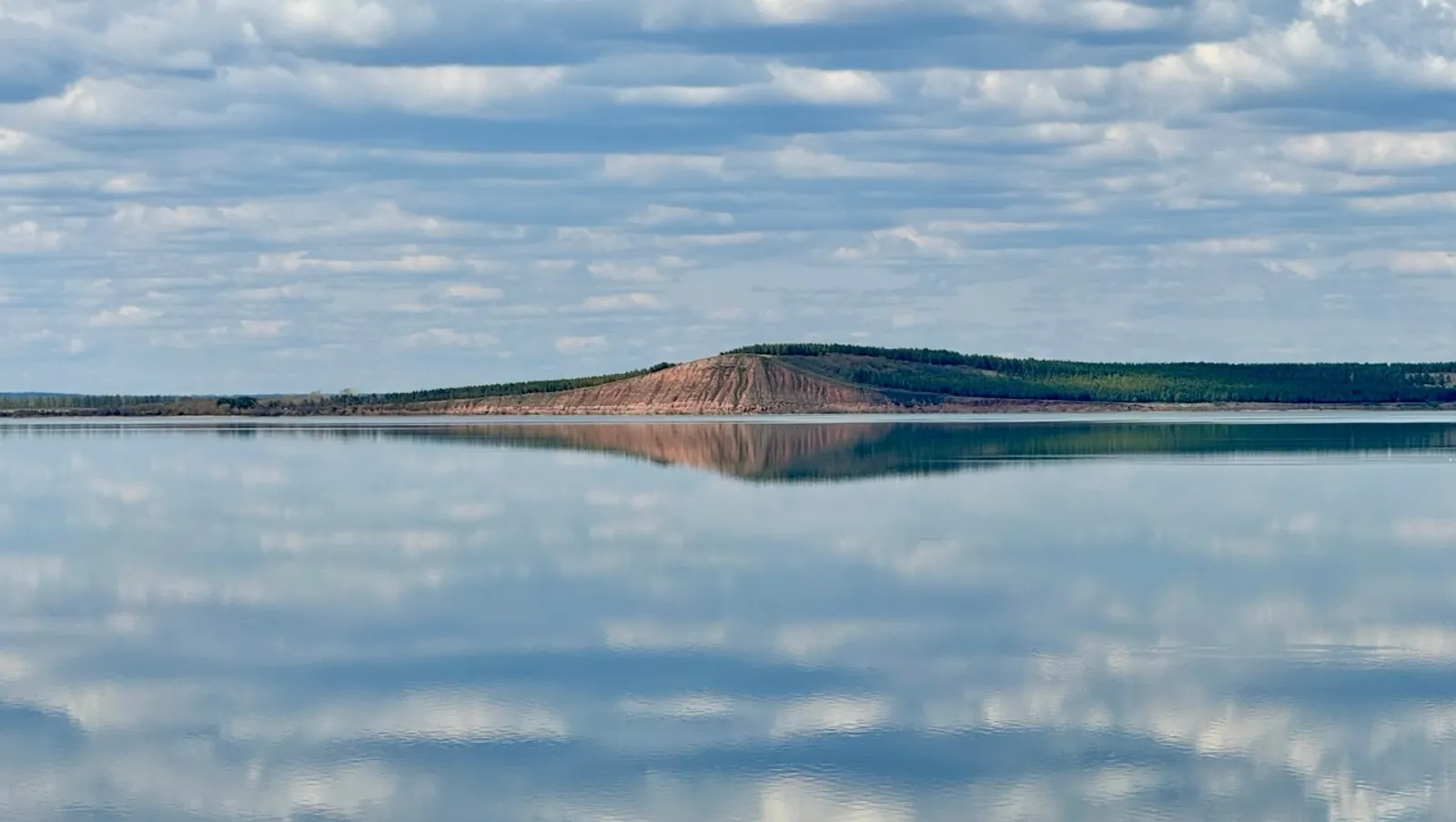 Елены Колоколовой.  «Общественная электронная газета».