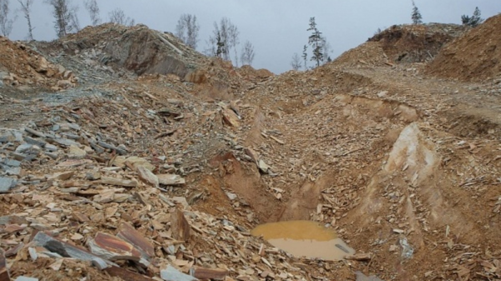 Фото Олега Яровикова.