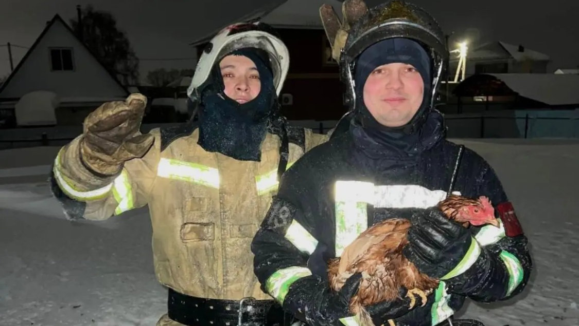 предоставлено пресс-службой ГУ МЧС России по РБ. ГУ МЧС России по РБ.