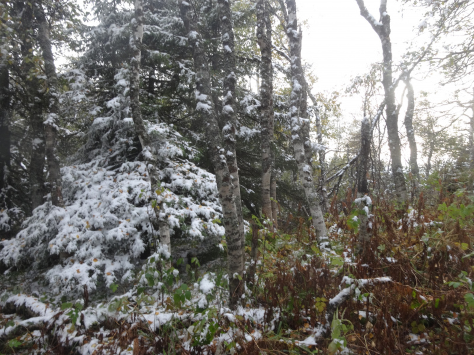 Фото автора.