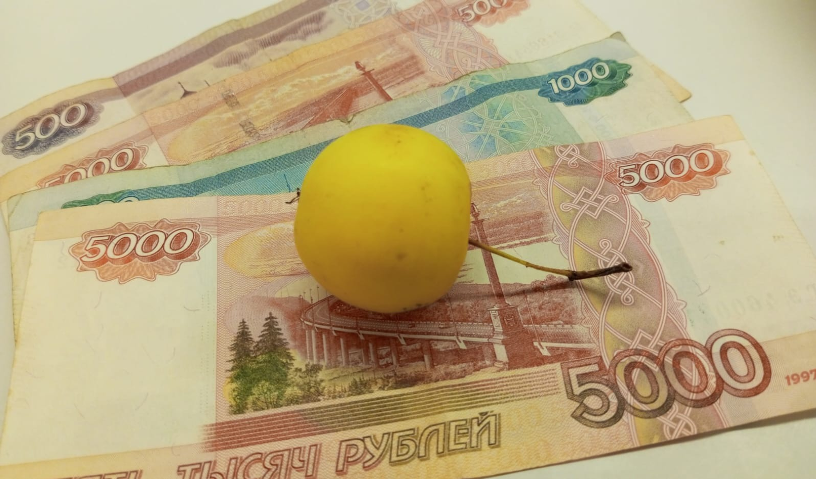 Евгении Сюткиной.