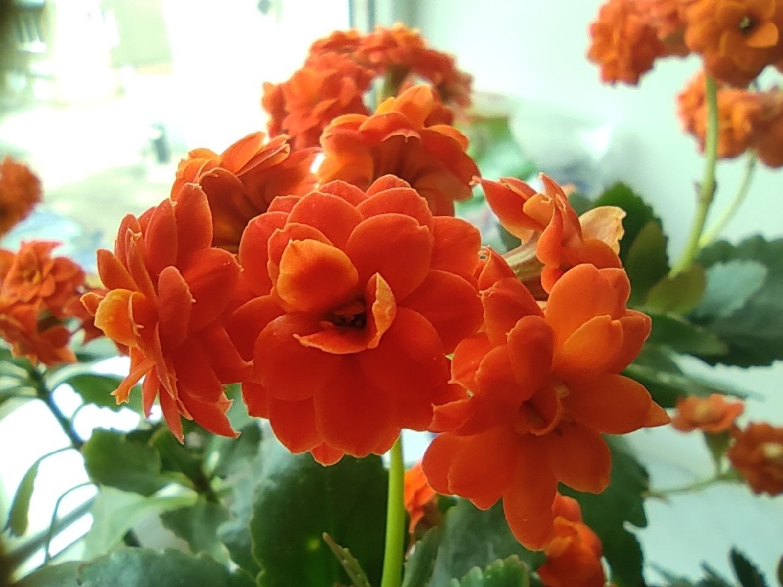 Дарьи Святохиной.