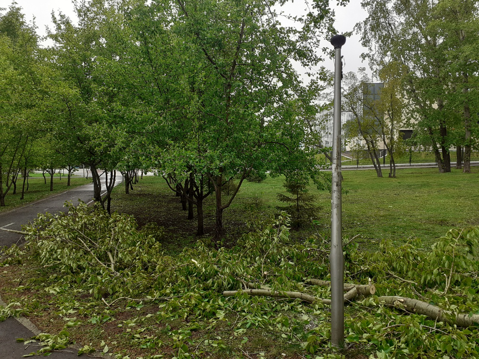 Владимира Шакиева.