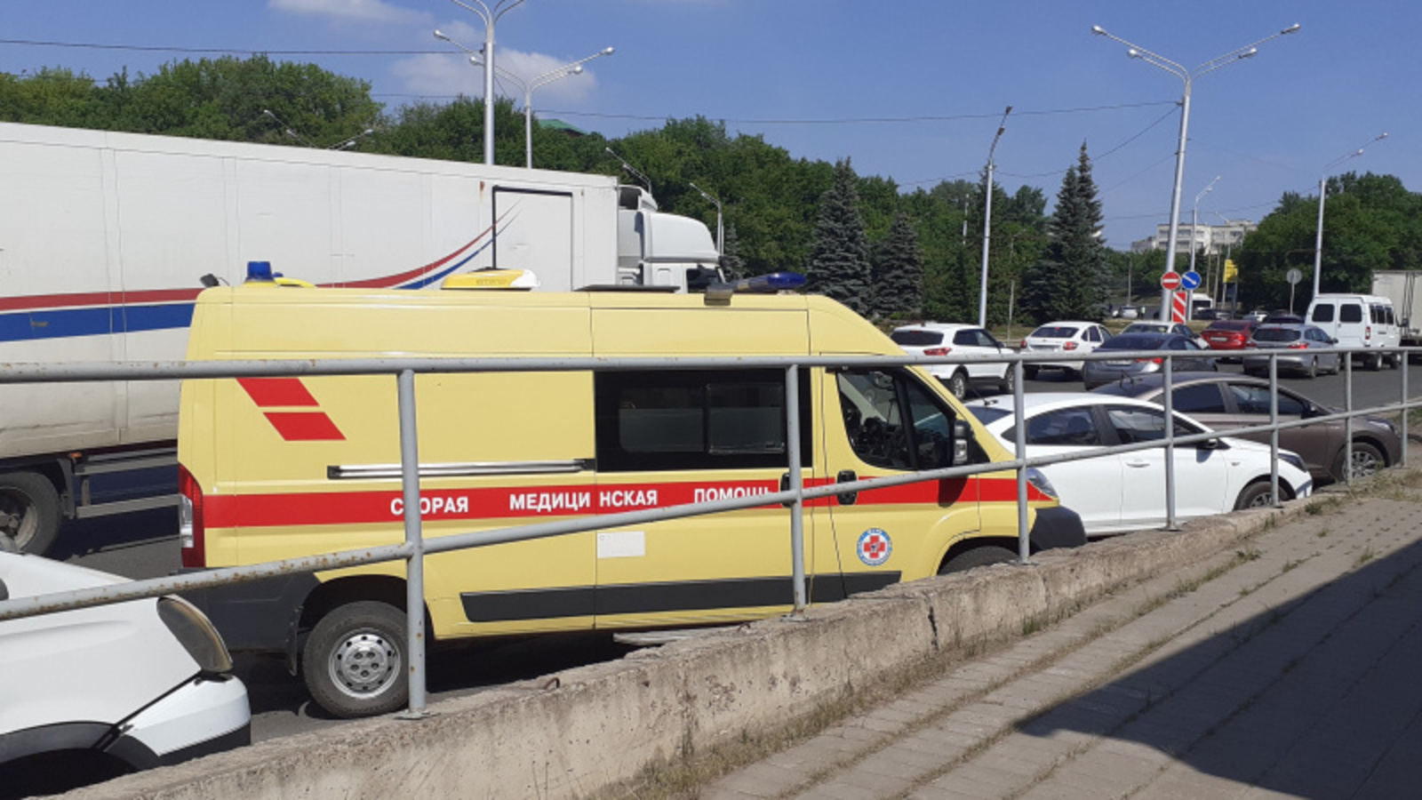 Фото автора.