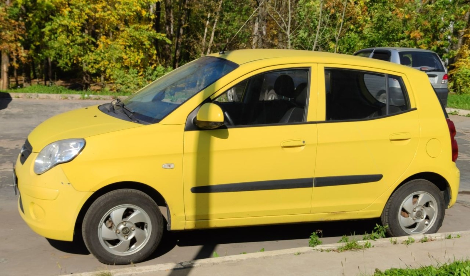 Дарьи Святохиной.