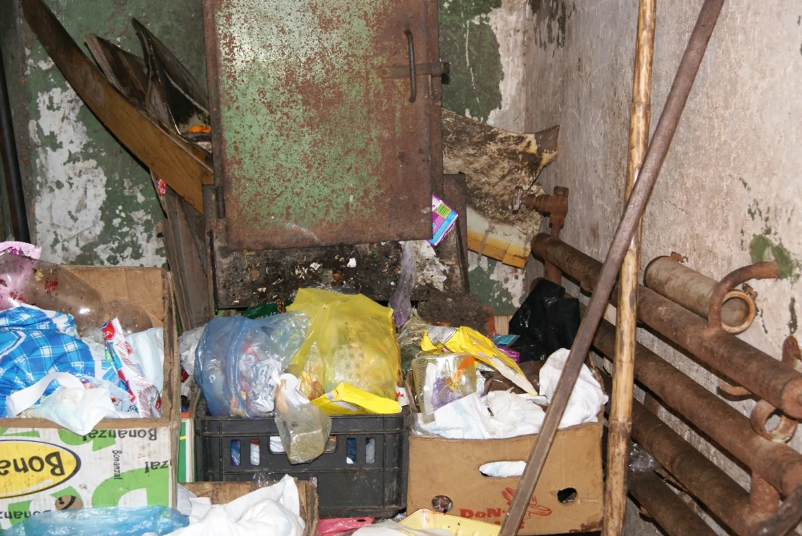 Фото предоставлено автором.