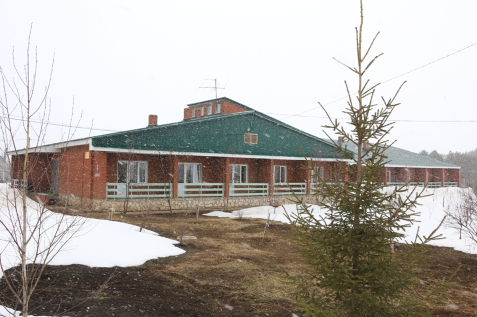 Фото Андрея Старостина.