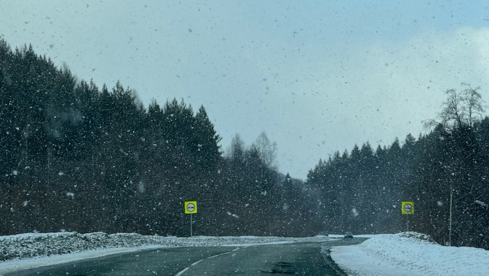 Елены Колоколовой. "Общественная электронная газета".
