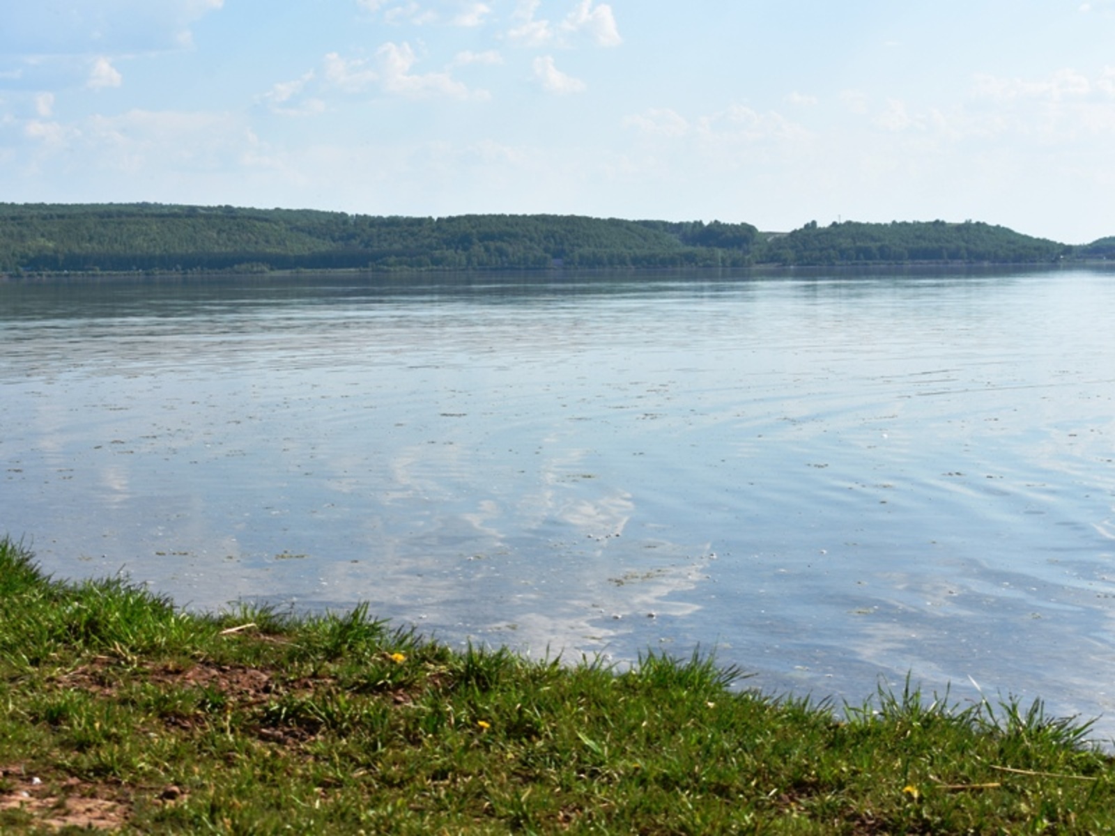Фото Елены Колоколовой.