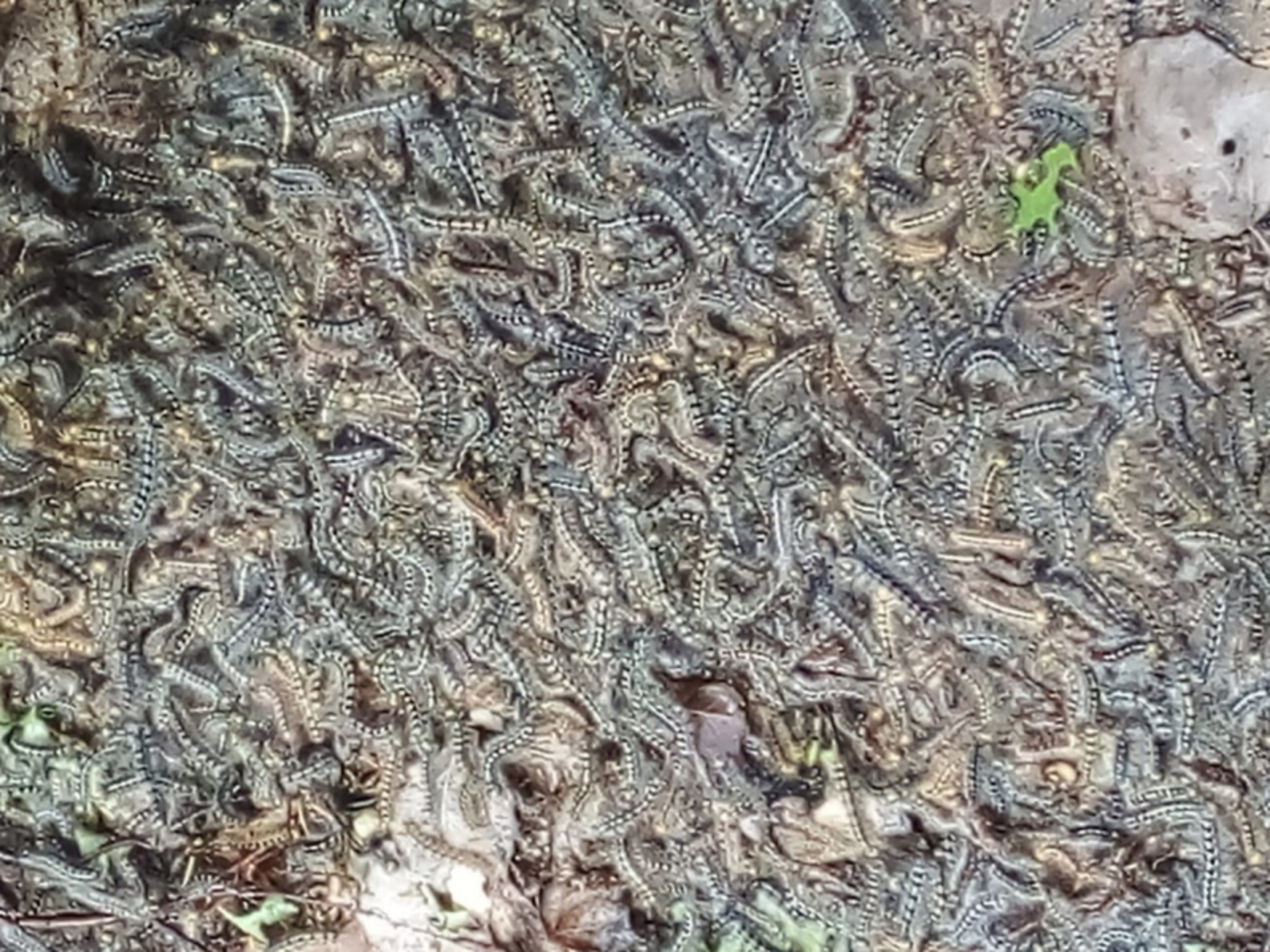 Фото автора.