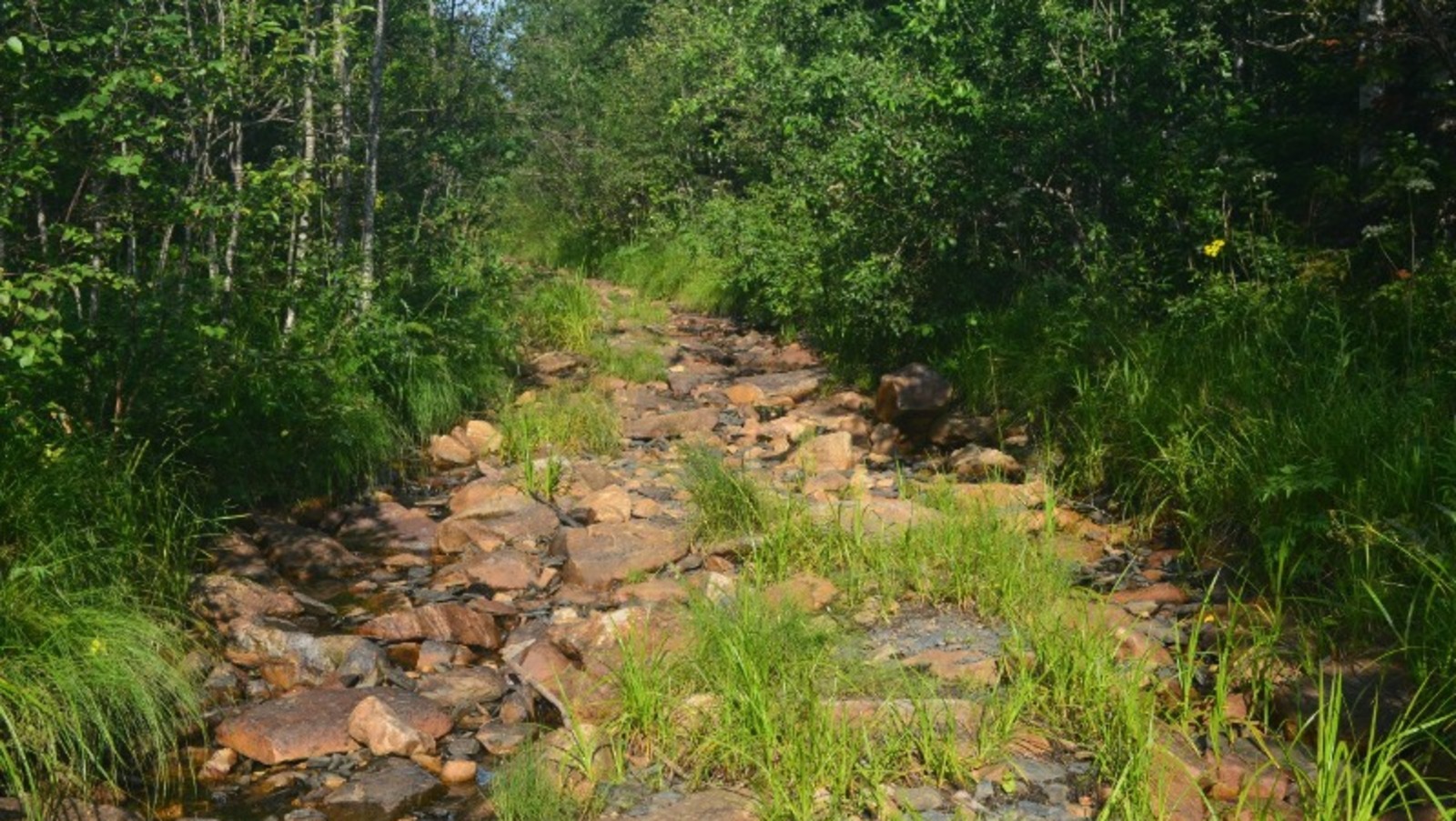 Владимира Шакиева.