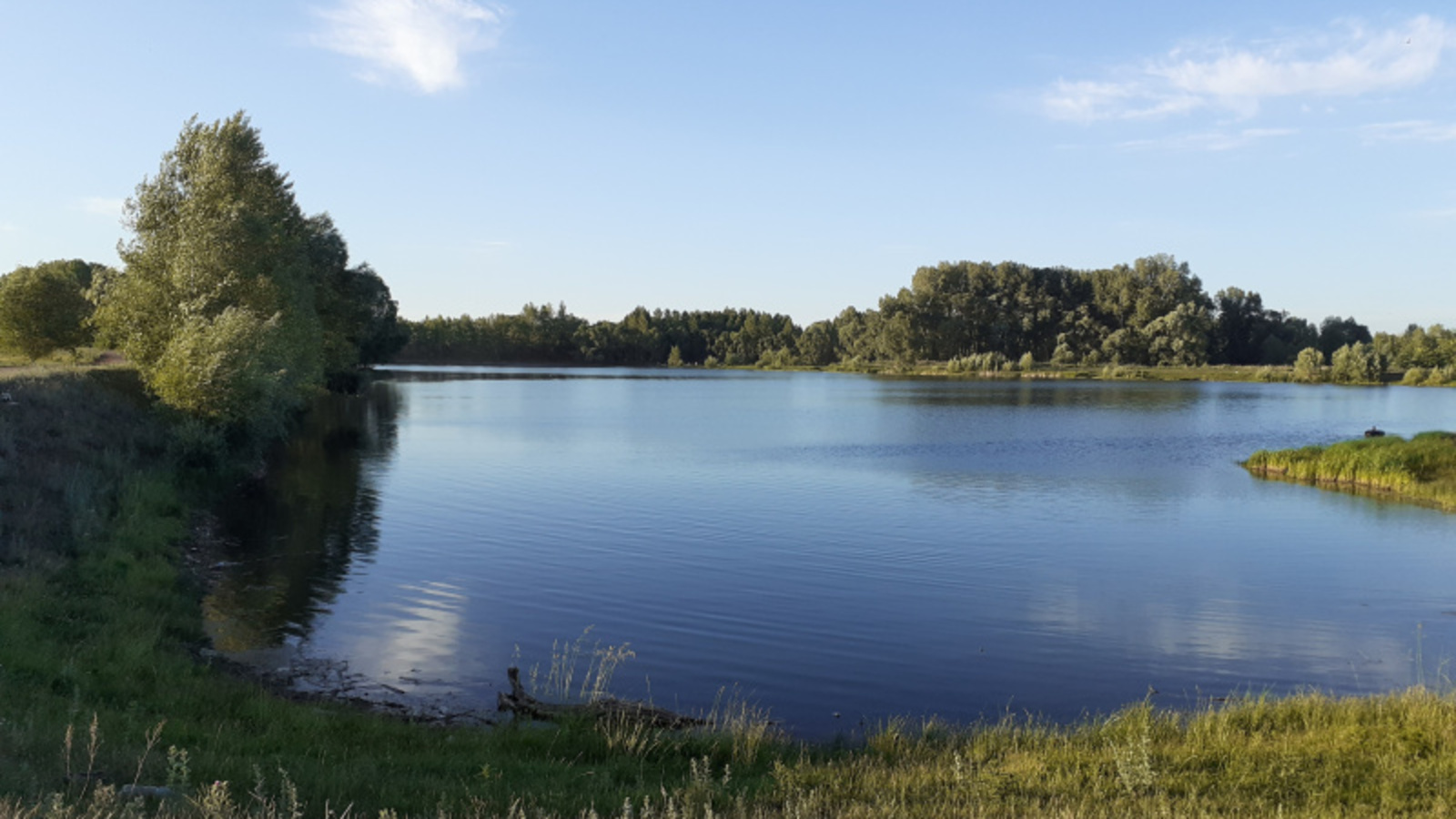 Фото автора.