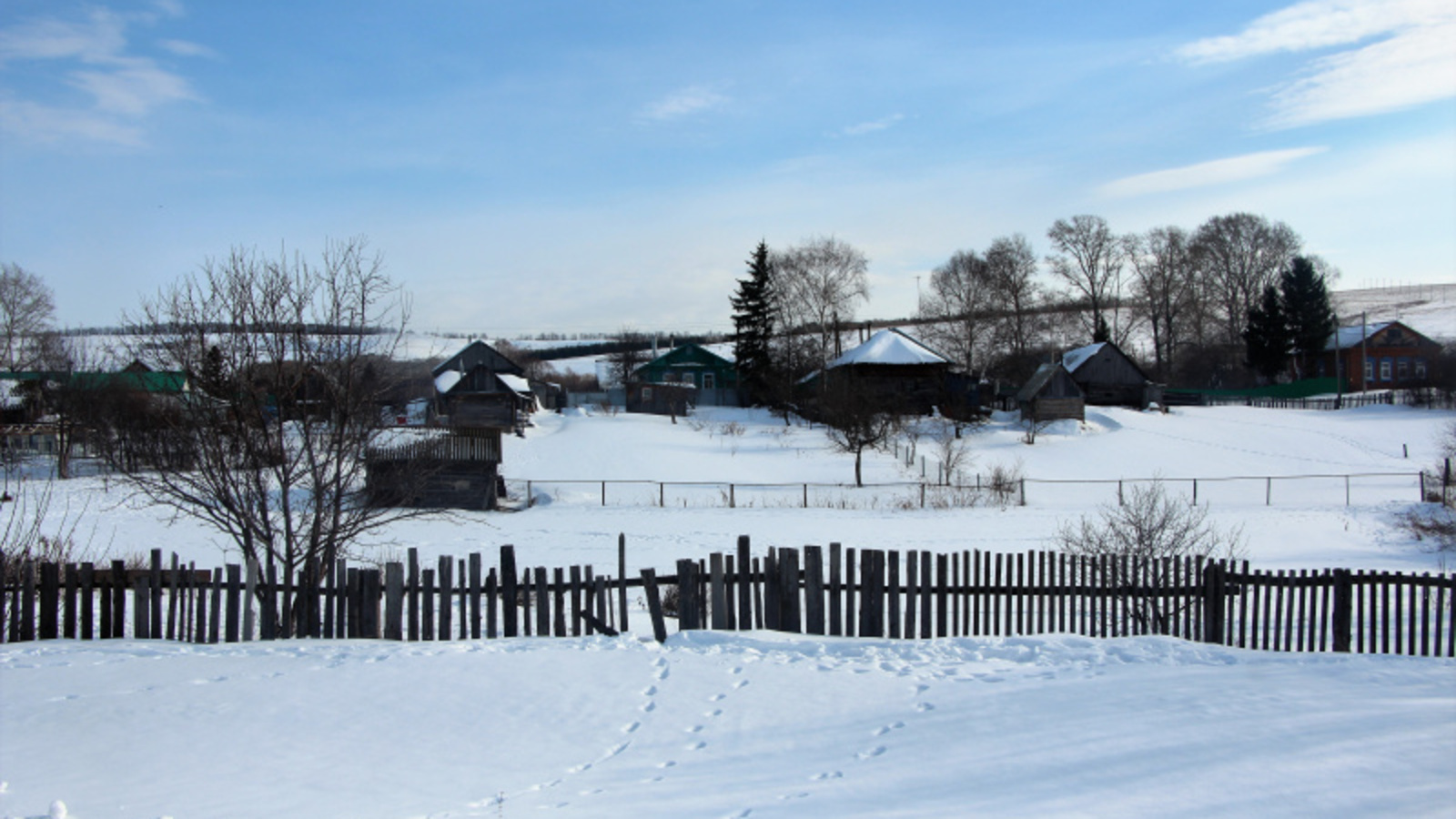 Фото автора.