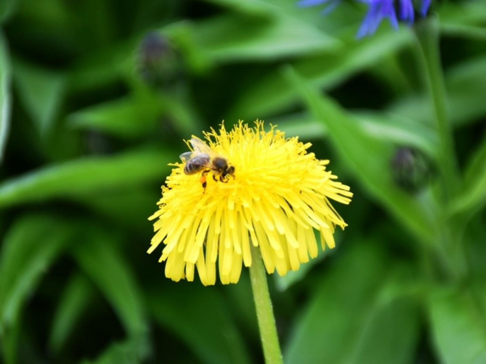 Фото Елены Колоколовой.