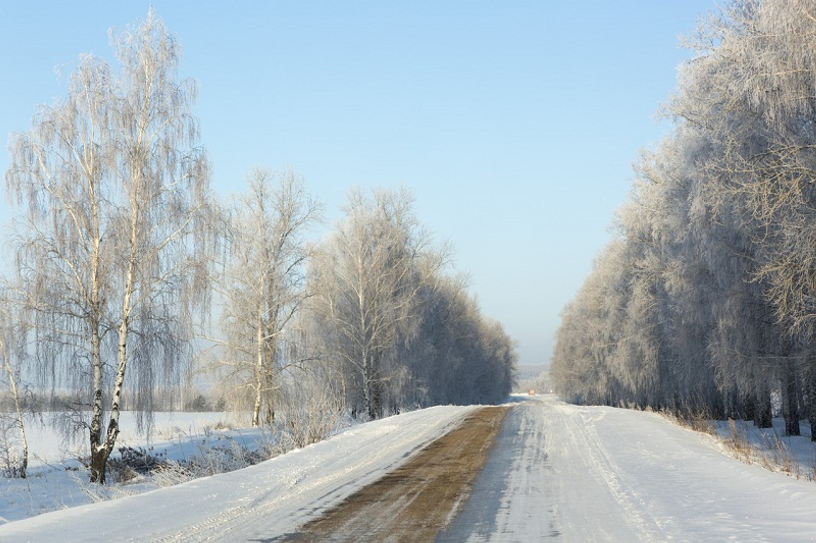 Фото Фаиля Абсатарова.