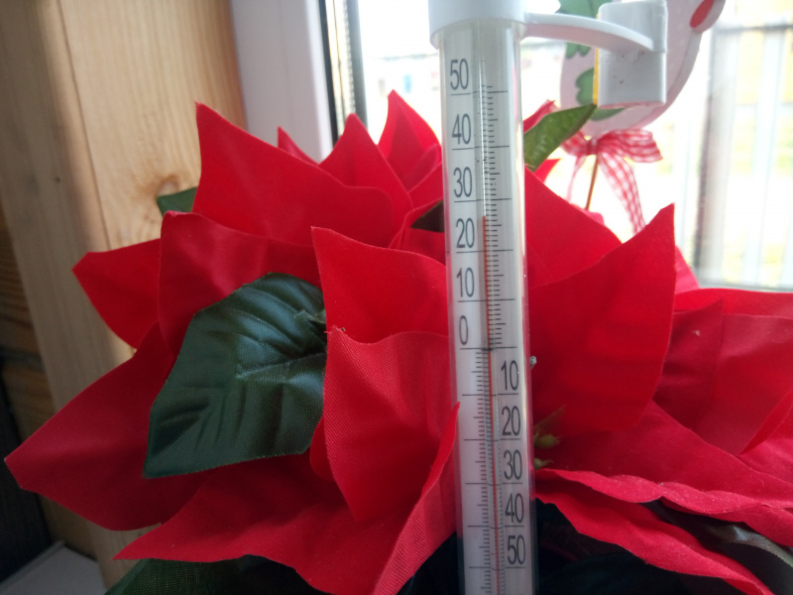 Фото Васили Саитовой.