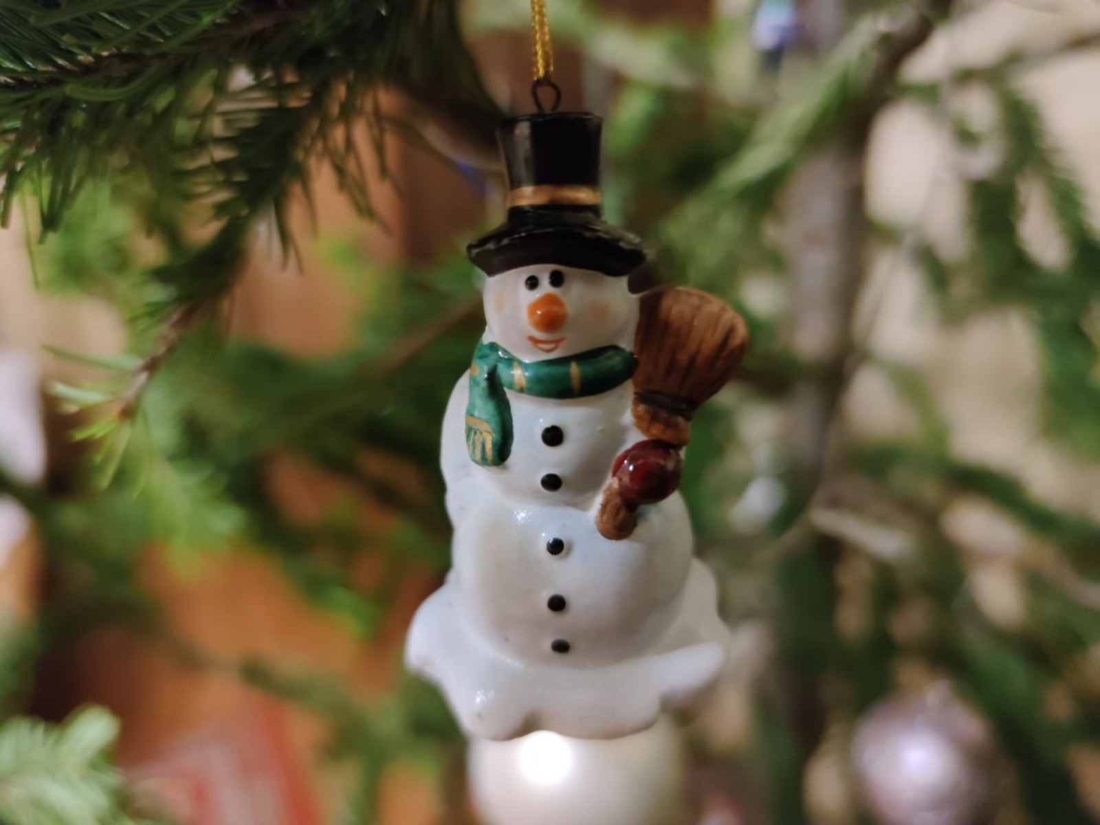 Дарьи Святохиной.