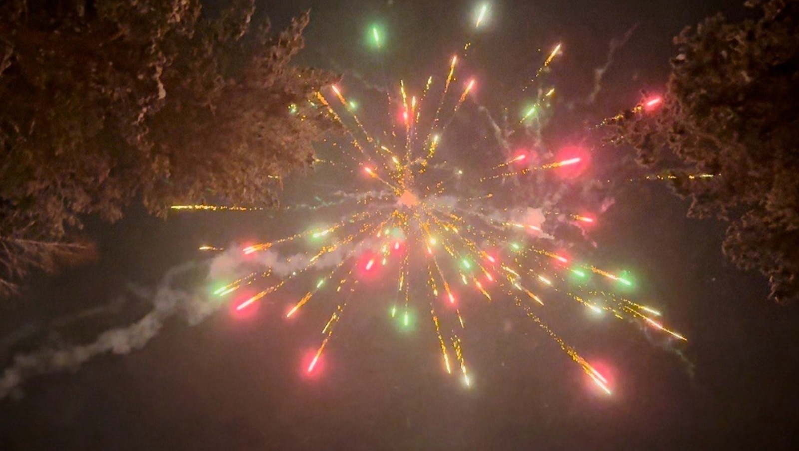 Елены Колоколовой.