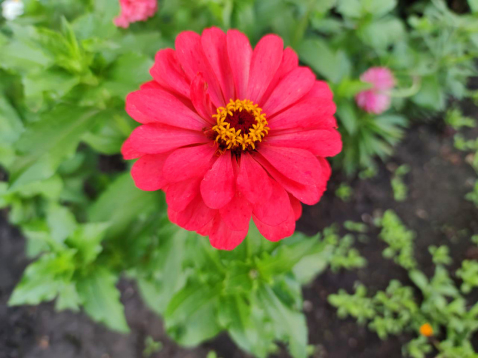 Фото автора.