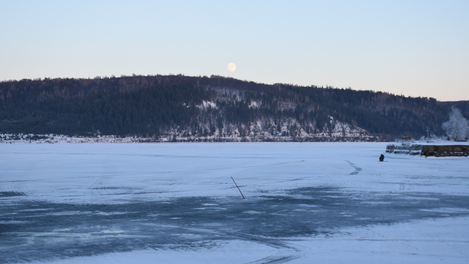 Елены Колоколовой.