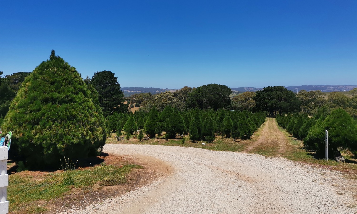 предоставлено Ольгой Калининой. предоставлено Ольгой Калининой.