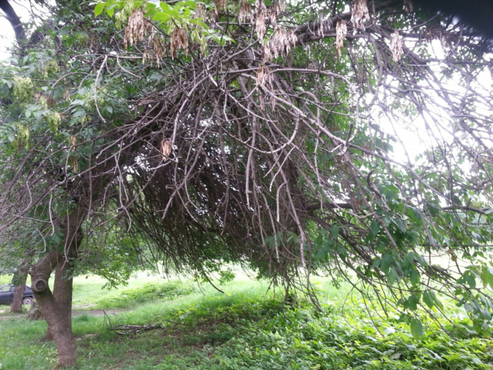 Фото автора.