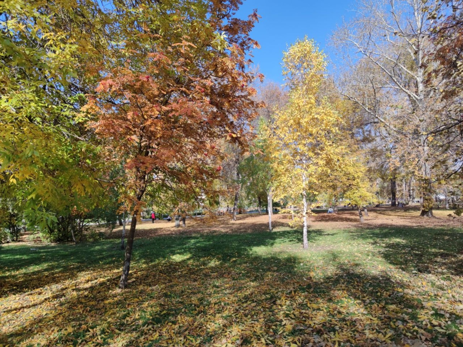 Дарьи Святохиной.