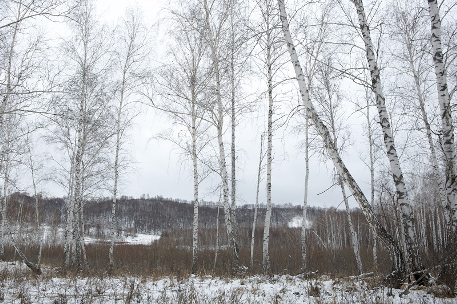 Фото Фаиля Абсатарова.