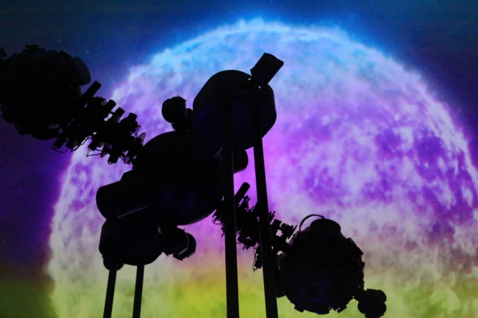 Фото Андрея Старостина.