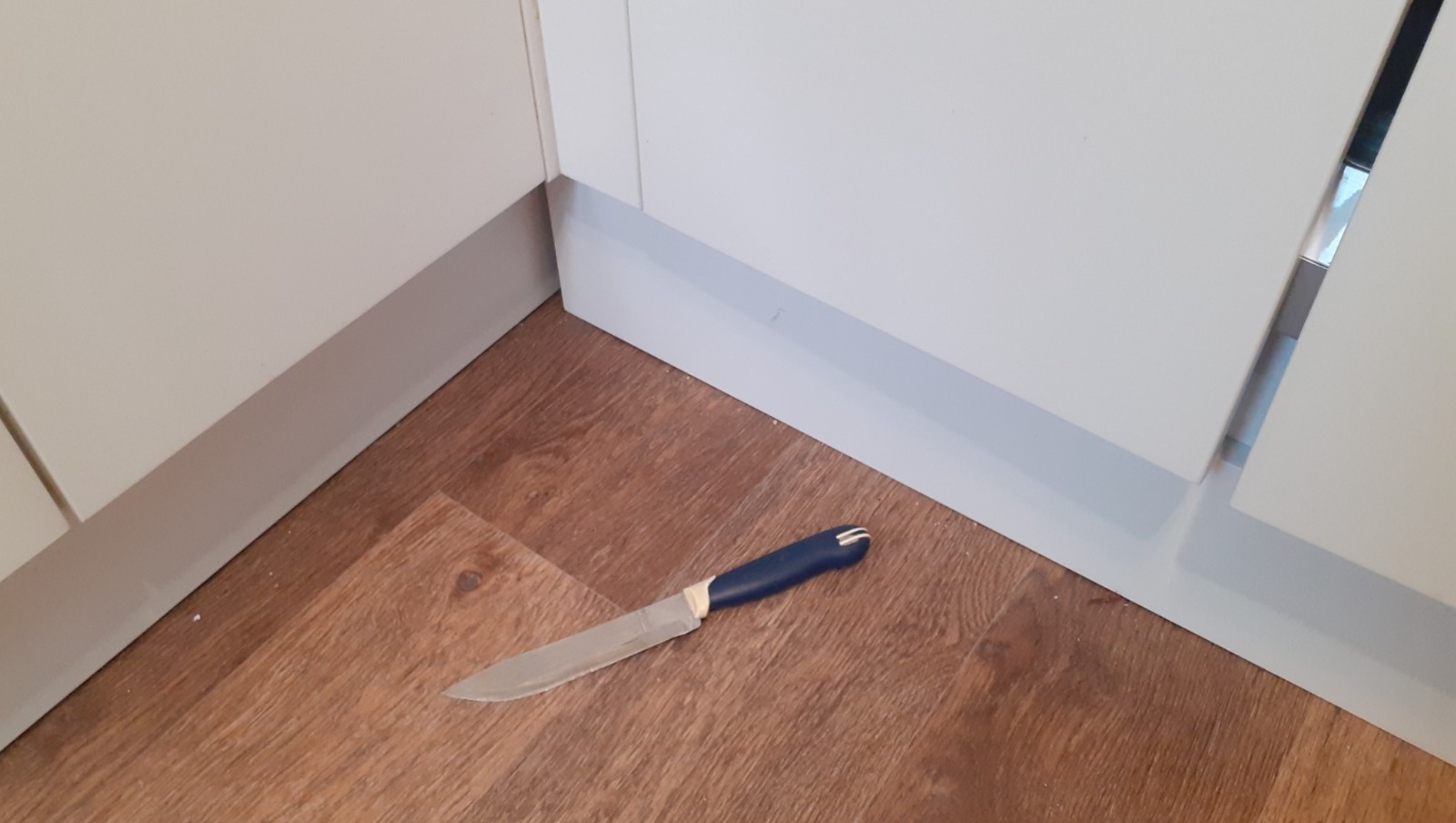 Владимира Шакиева. "Общественная электронная газета".